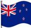NZ Flag2